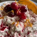['Close-up view of a creamy cranberry orange fruit dip served in a bowl.', 'Side view of a vibrant cranberry orange fruit dip with a smooth texture.', 'A luscious cranberry orange fruit dip in a decorative bowl, garnished with zest.', 'Close-up of a delicious fruit dip featuring cranberry sauce and orange zest.']